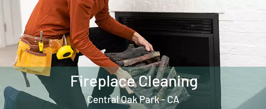 Fireplace Cleaning Central Oak Park - CA