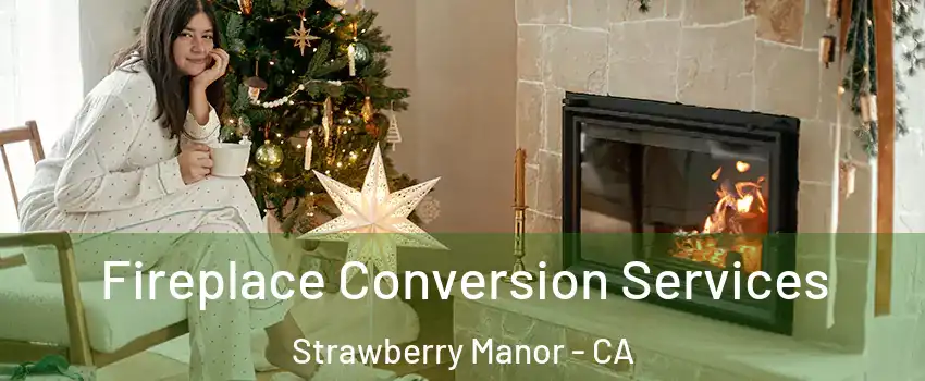 Fireplace Conversion Services Strawberry Manor - CA