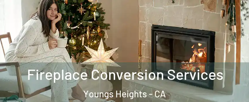 Fireplace Conversion Services Youngs Heights - CA