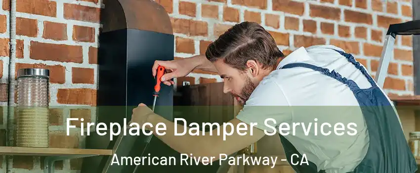 Fireplace Damper Services American River Parkway - CA