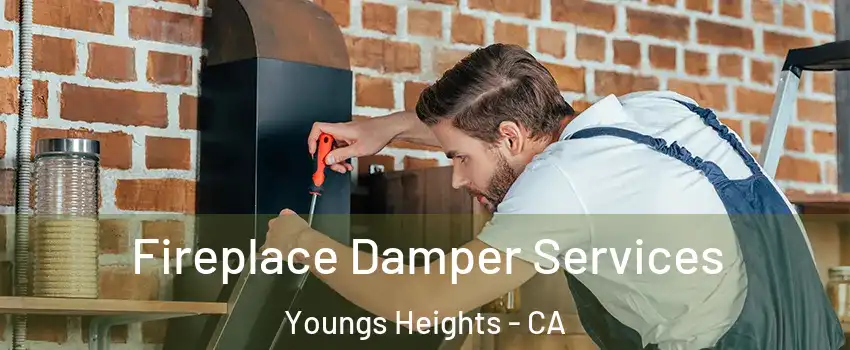 Fireplace Damper Services Youngs Heights - CA