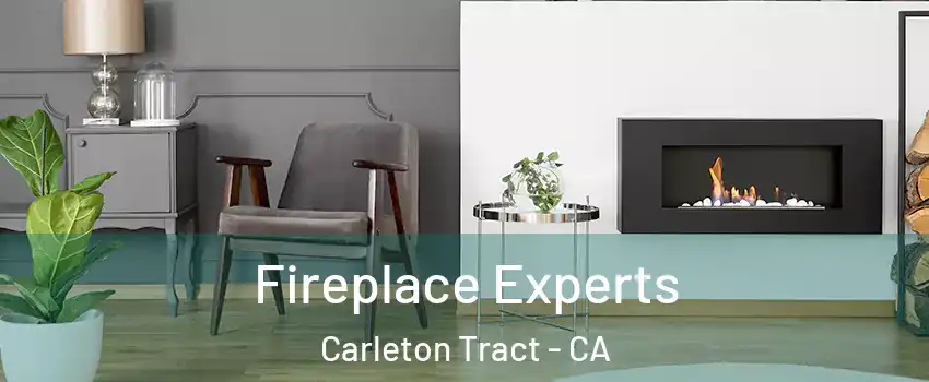 Fireplace Experts Carleton Tract - CA