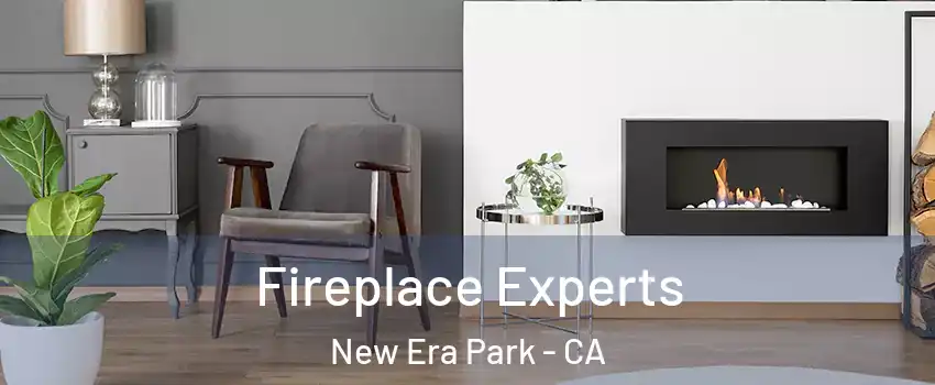 Fireplace Experts New Era Park - CA