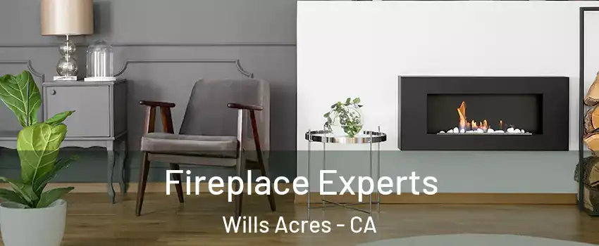 Fireplace Experts Wills Acres - CA