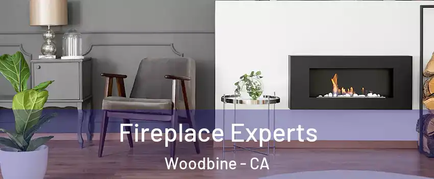 Fireplace Experts Woodbine - CA