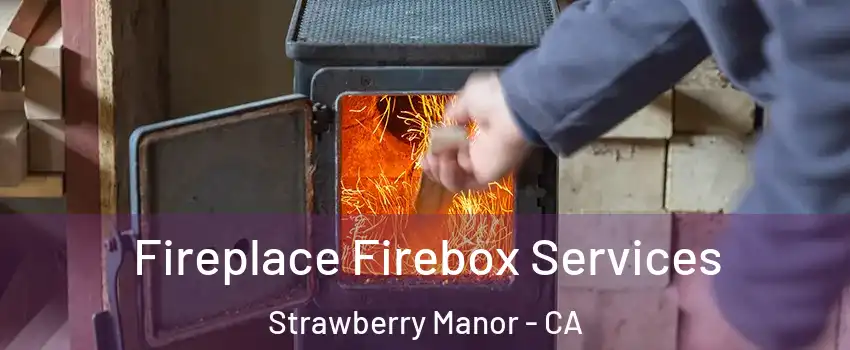 Fireplace Firebox Services Strawberry Manor - CA