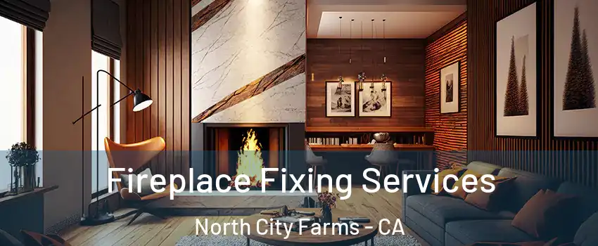 Fireplace Fixing Services North City Farms - CA