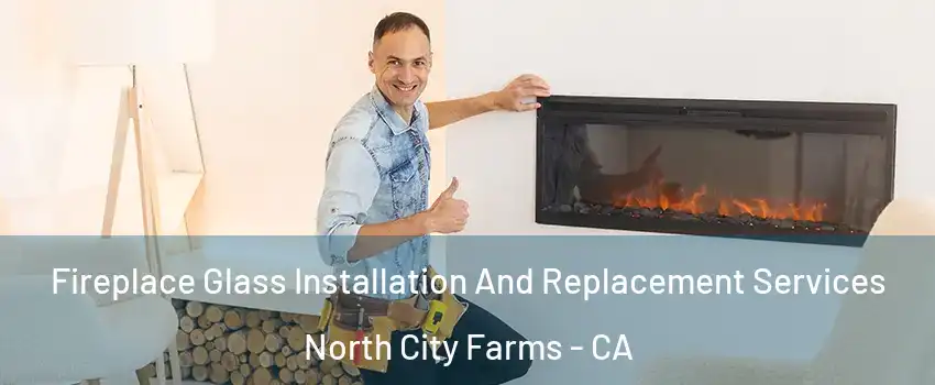 Fireplace Glass Installation And Replacement Services North City Farms - CA