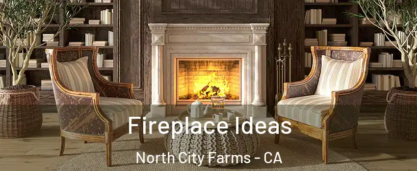 Fireplace Ideas North City Farms - CA