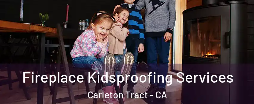 Fireplace Kidsproofing Services Carleton Tract - CA