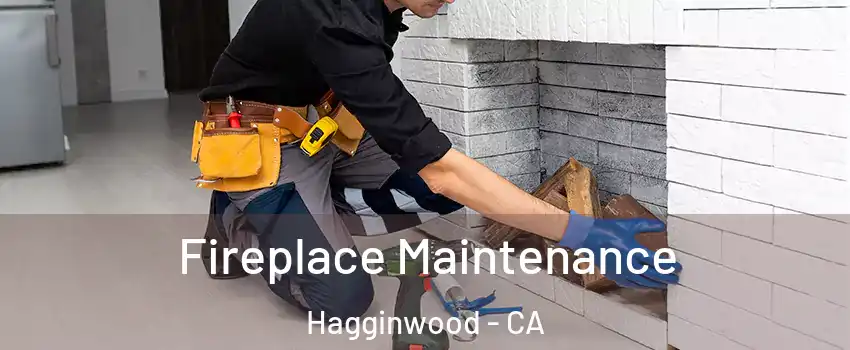 Fireplace Maintenance Hagginwood - CA