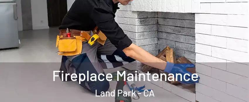 Fireplace Maintenance Land Park - CA