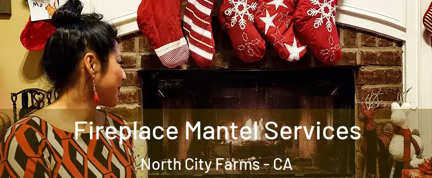 Fireplace Mantel Services North City Farms - CA