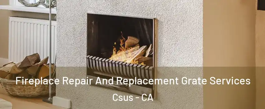 Fireplace Repair And Replacement Grate Services Csus - CA