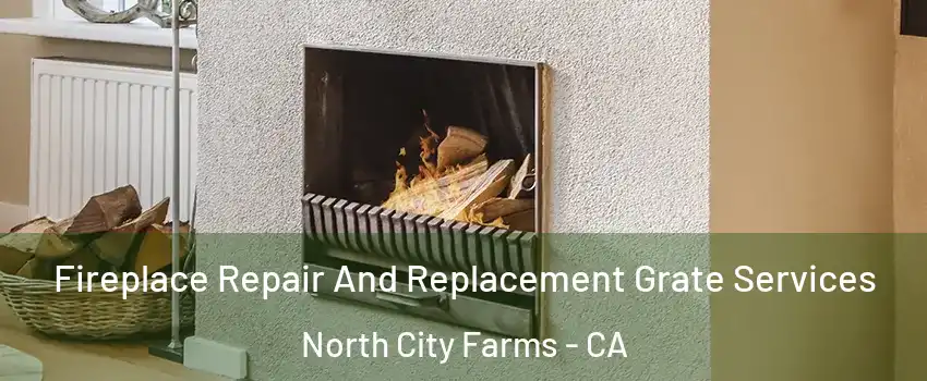 Fireplace Repair And Replacement Grate Services North City Farms - CA