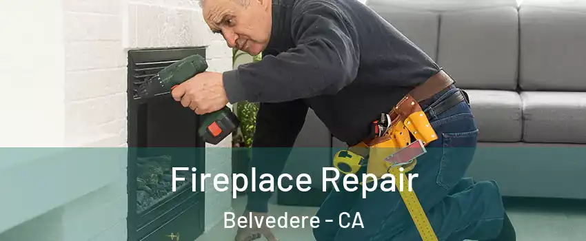 Fireplace Repair Belvedere - CA