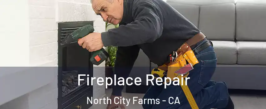 Fireplace Repair North City Farms - CA