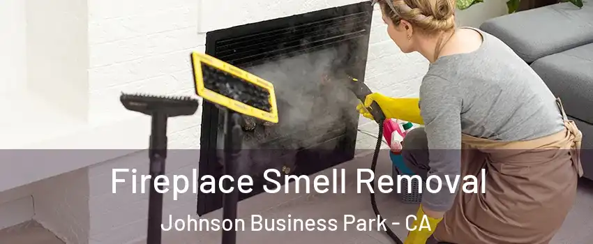 Fireplace Smell Removal Johnson Business Park - CA