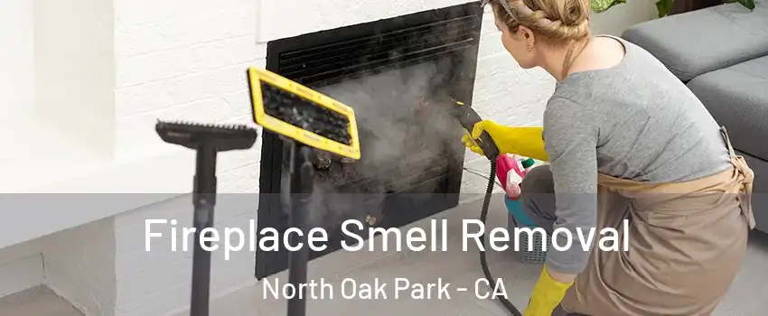 Fireplace Smell Removal North Oak Park - CA