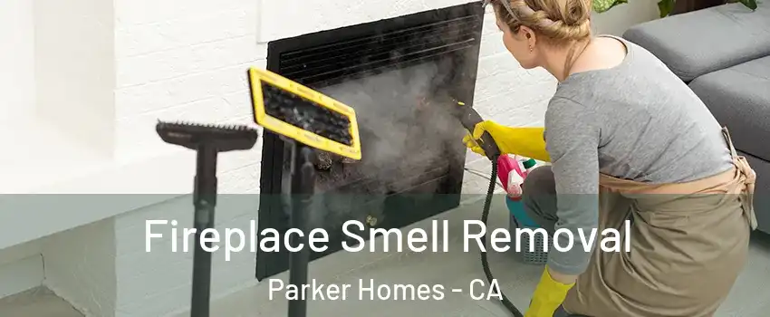 Fireplace Smell Removal Parker Homes - CA