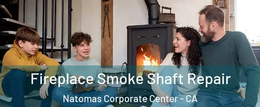 Fireplace Smoke Shaft Repair Natomas Corporate Center - CA