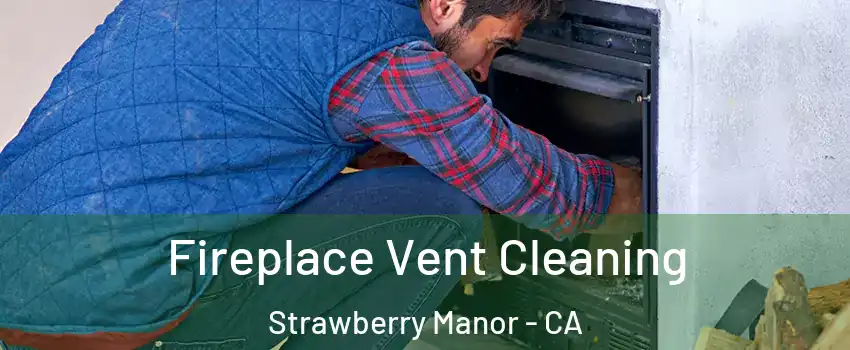 Fireplace Vent Cleaning Strawberry Manor - CA