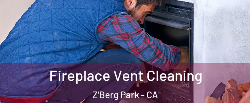 Fireplace Vent Cleaning Z'Berg Park - CA