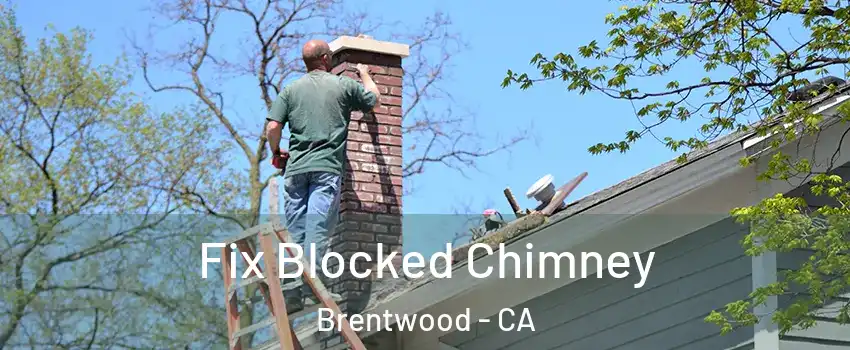 Fix Blocked Chimney Brentwood - CA