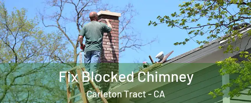 Fix Blocked Chimney Carleton Tract - CA