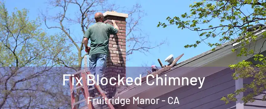 Fix Blocked Chimney Fruitridge Manor - CA