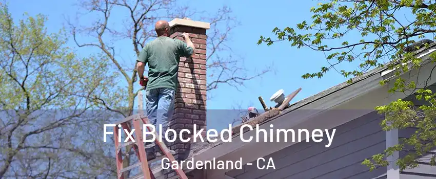 Fix Blocked Chimney Gardenland - CA