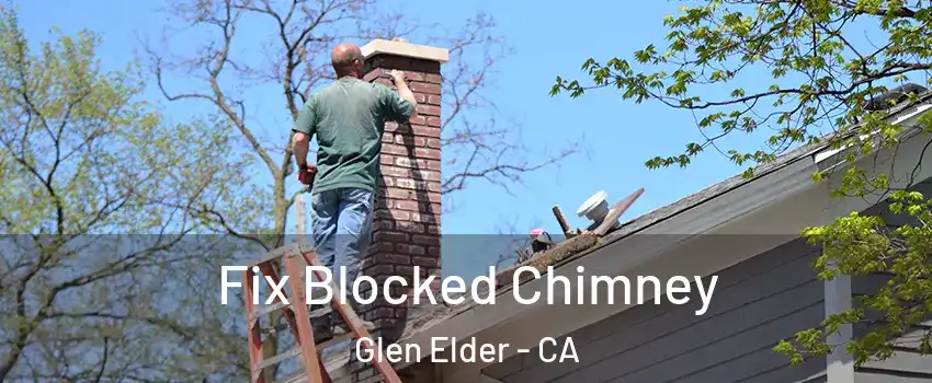 Fix Blocked Chimney Glen Elder - CA