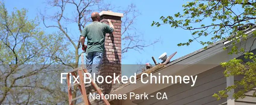 Fix Blocked Chimney Natomas Park - CA