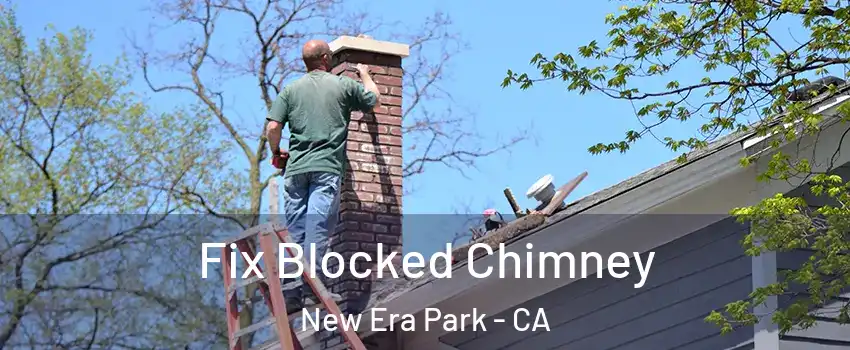 Fix Blocked Chimney New Era Park - CA