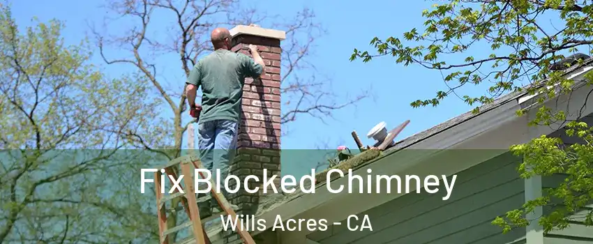 Fix Blocked Chimney Wills Acres - CA