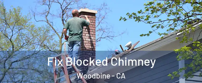 Fix Blocked Chimney Woodbine - CA