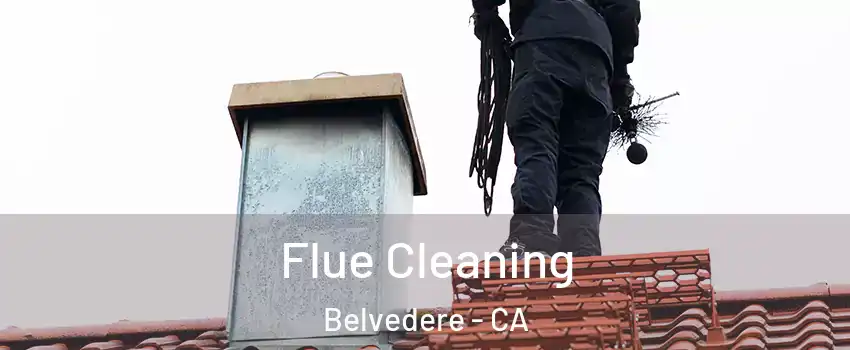 Flue Cleaning Belvedere - CA