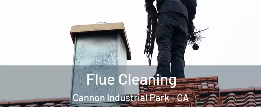 Flue Cleaning Cannon Industrial Park - CA