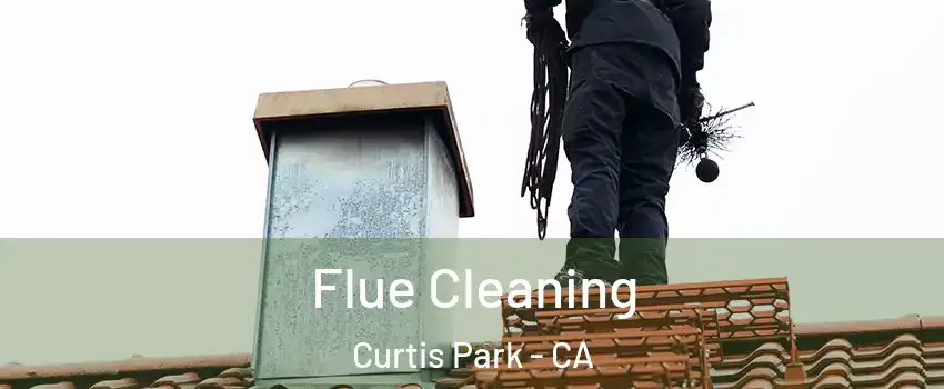 Flue Cleaning Curtis Park - CA