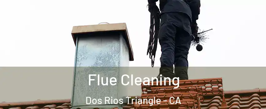 Flue Cleaning Dos Rios Triangle - CA