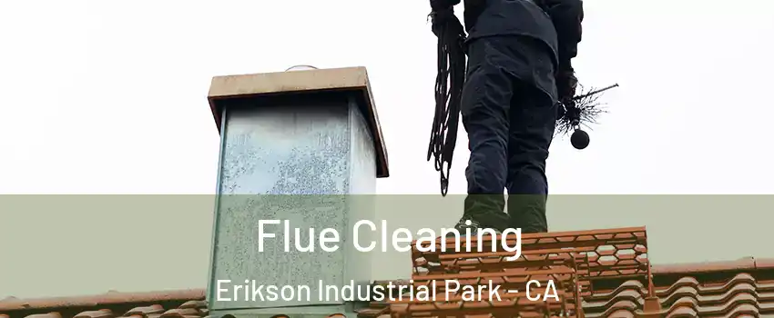 Flue Cleaning Erikson Industrial Park - CA