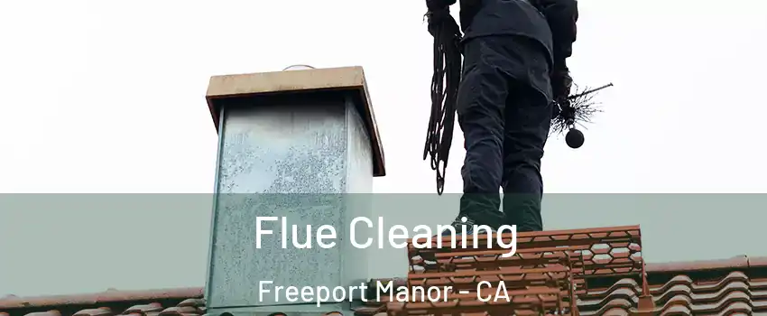 Flue Cleaning Freeport Manor - CA