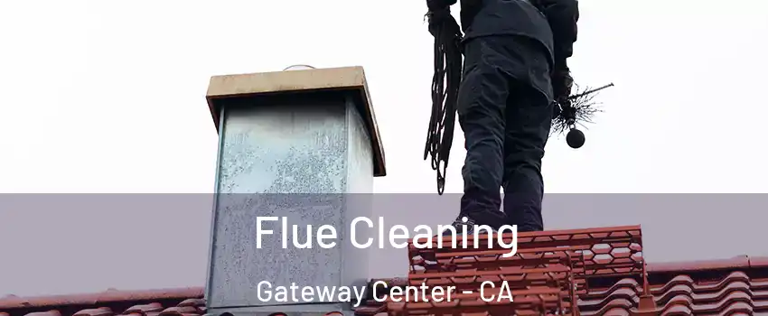 Flue Cleaning Gateway Center - CA