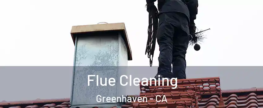 Flue Cleaning Greenhaven - CA