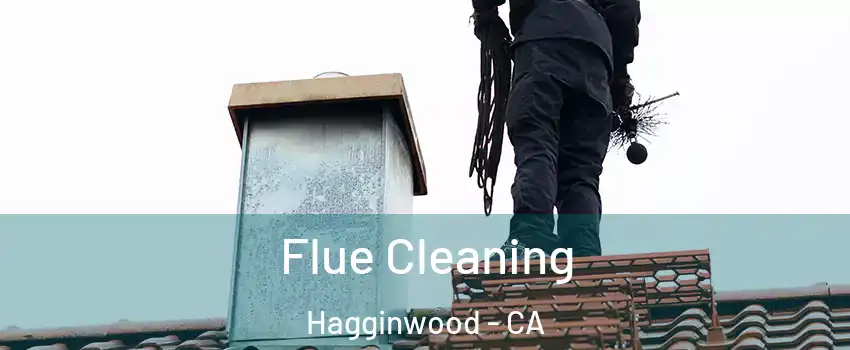 Flue Cleaning Hagginwood - CA