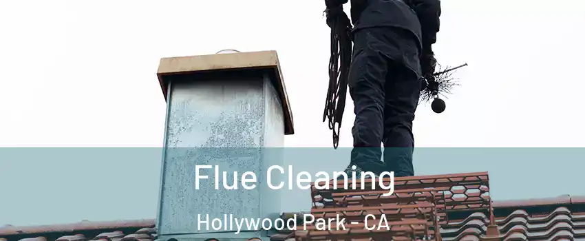 Flue Cleaning Hollywood Park - CA