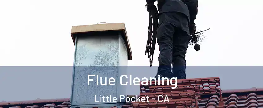 Flue Cleaning Little Pocket - CA