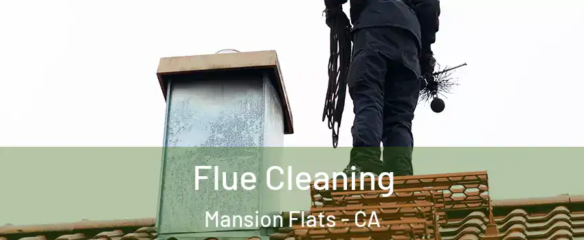 Flue Cleaning Mansion Flats - CA