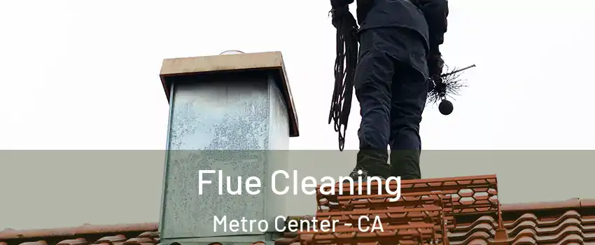 Flue Cleaning Metro Center - CA