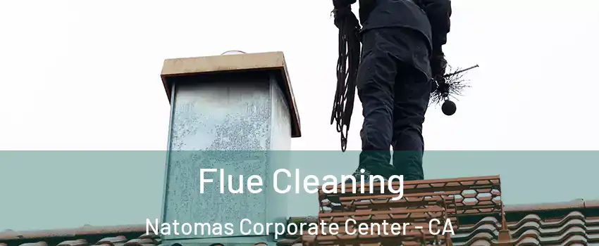 Flue Cleaning Natomas Corporate Center - CA